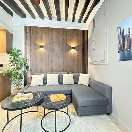 Apartment Charming Near The Louvre Museum